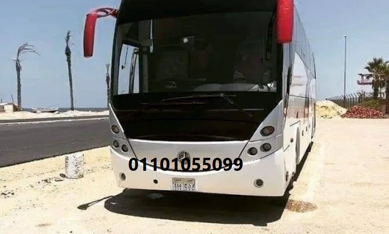ايجار اتوبيسات