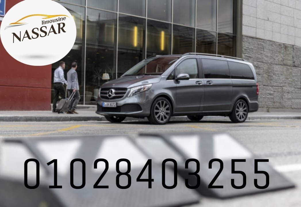 Viano car rental