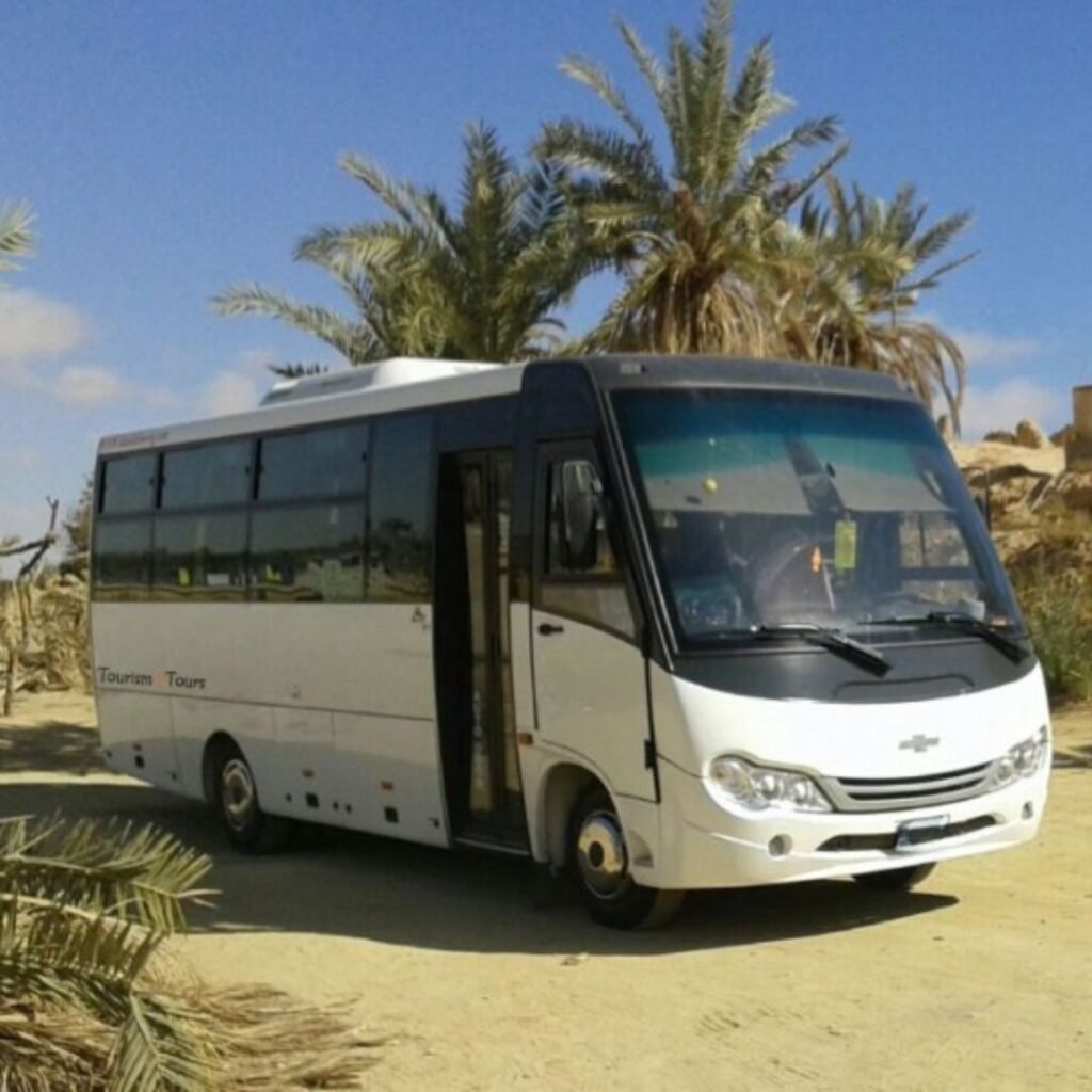 تأجير باصات في مصر