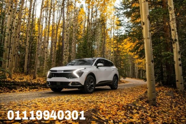 كل ما يخص ايجار ليموزين كيا سبورتاج في مصر|01119940301